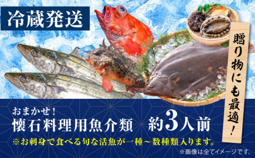 天然活魚おまかせセット