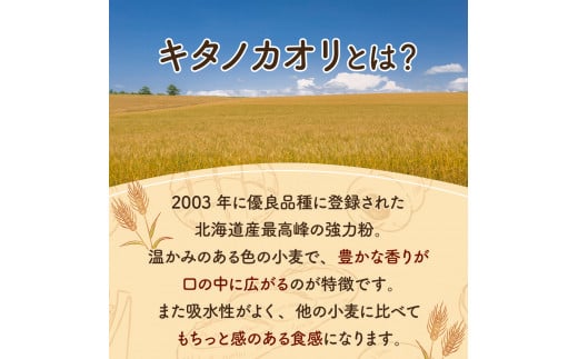 大人気！！石窯焼きのおまかせパン詰め合わせ18個セット【19024】