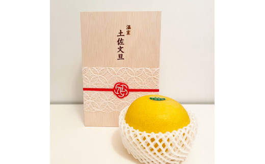 楽天市場】【ふるさと納税】 【 2月 中旬 から 発送 】 文旦