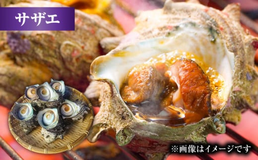 老舗鮮魚店の厳選！豪華天然魚介3種セット！（イセエビ約300ｇ・アワビ約200g・サザエ約1kg）