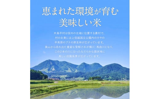 長野県木島平村のふるさと納税 【特別栽培米】【低アミロース米】木島平産ミルキークィーン（(株)岳農）5kg | 米 特別栽培米 低アミロース米 ミルキークィーン 長野県 木島平村 信州