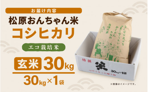先行予約】【令和7年産・新米】コシヒカリ（玄米）エコ栽培米