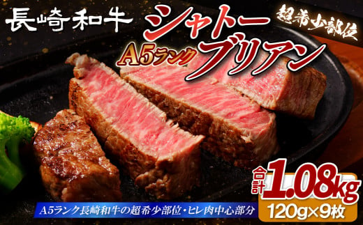 B393 【超希少部位】長崎和牛 A5等級 シャトーブリアン 120g×9枚 総量1.08kg【田中精肉店】シャトーブリアン ヒレ フィレ ステーキ 赤身 和牛 黒毛和牛 牛肉 希少部位