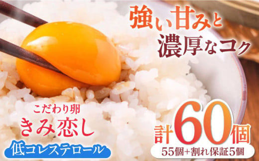 きみ恋し 60個（55個+割れ保証5個） 箱入り たまご 卵 玉子 タマゴ 鶏卵 赤卵 オムレツ たまごかけご飯 新鮮 冷蔵 濃厚 卵かけご飯 朝食 旨味 鮮度 TKG こだわり卵 福岡 たまご 広川町 / 伊藤養鶏場 [AFAJ004] 1251019 - 福岡県広川町