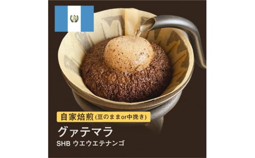 #004 グァテマラ SHB ウエウエテナンゴ コーヒー豆 310g 自家焙煎 大山珈琲(豆または粉から選択)