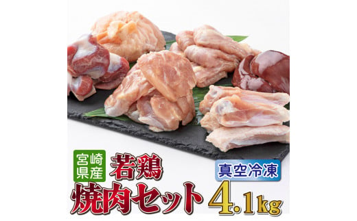 TRT09 若鶏焼肉4.1kgセット 1399224 - 宮崎県串間市