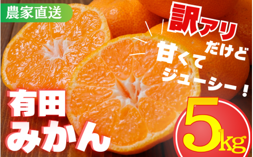 【訳あり】農家直送 有田みかん約5kg ご家庭用 サイズ混合 ※2024年11月中旬から2025年1月中旬までに順次発送予定（お届け日指定不可）※北海道・沖縄・離島への配送不可　訳ありみかん 温州みかんイズ混合 訳ありみかん 温州みかん 有機質肥料100% ふるさと納税 柑橘 有田 産地直送【nuk161】 1389601 - 和歌山県紀美野町