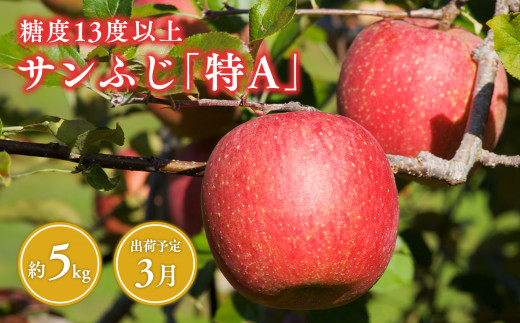 3月  サンふじ約5kg 糖度13度以上(14～20玉程度）【青森県 平川市 森山商店 】 平川市産 青森りんご 林檎 リンゴ りんご サンふじ ふじ 光センサー 選果 平川市 青森県 