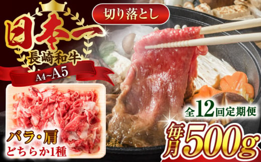 【全12回定期便】【A4～A5】長崎和牛切り落とし　500g【株式会社 MEAT PLUS】 [QBS047] 1413894 - 長崎県佐々町