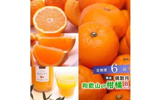 【偶数月 全6回 】 柑橘定期便B【IKE14】 1398847 - 和歌山県和歌山市