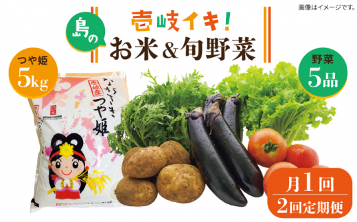 【先行予約】【全2回定期便】壱岐産米（つや姫）5kg・旬の野菜 5品【2025年10月中旬以降順次発送】《壱岐市》【壱岐市農業協同組合】お米 季節 セット ごはん [JBO132] 46000 46000円