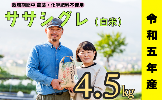 令和５年産 【栽培期間中 農薬・化学肥料不使用】ササシグレ(白米)4.5kg真空包装(5-66A) 1411904 - 長野県飯山市