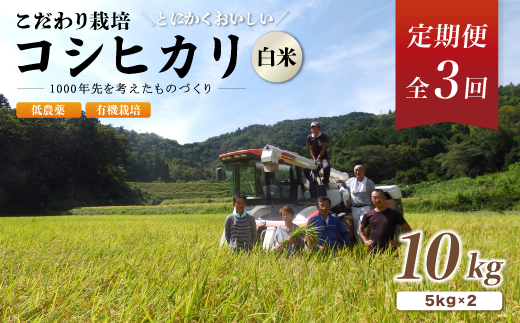 【定期便3回】有機栽培コシヒカリ白米 10kg 京都府産 低農薬 毎月お届け 3ヶ月【 米 10キロ 精米 白米 こめ コメ お米 おこめ こしひかり 井上吉夫 米農家 有機栽培米 有機栽培 農家直送 減農薬 綾部市 京都府 】 1398181 - 京都府綾部市