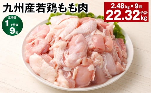 【1ヶ月毎9回定期便】 九州産若鶏もも肉 計約22.32kg（約2.48kg✕9回） 鶏肉 もも肉 お肉 1398358 - 熊本県菊池市