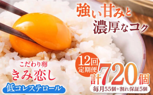 【12回定期便】きみ恋し 箱入り 60個（55個+割れ保証5個）×12ヶ月　総計720個 たまご 卵 玉子 タマゴ 鶏卵 濃厚 玉子焼き 卵焼き オムレツ たまごかけご飯 冷蔵 広川町 / 伊藤養鶏場 [AFAJ011] 1251026 - 福岡県広川町