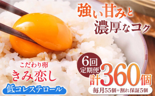 【6回定期便】きみ恋し 箱入り 60個（55個+割れ保証5個）×6ヶ月 総計360個 たまご 卵 玉子 タマゴ 鶏卵 濃厚 玉子焼き 卵焼き オムレツ たまごかけご飯 冷蔵 広川町 / 伊藤養鶏場 [AFAJ010] 1251025 - 福岡県広川町