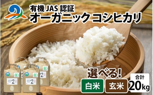 【先行予約】令和6年度産 有機JAS認証 オーガニック コシヒカリ 白米 5kg×4袋（計20kg）【2024年10月中旬から順次発送】 1423678 - 福井県南越前町