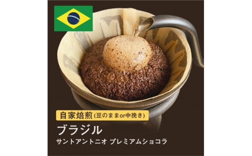 自家焙煎コーヒー! #074 310g ブラジル サントアントニオ プレミアムショコラ 珈琲(豆または中挽きから選択)
