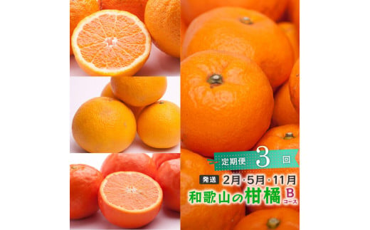 【 2・5・11月 全3回 】 柑橘定期便B【IKE8】 1398845 - 和歌山県和歌山市
