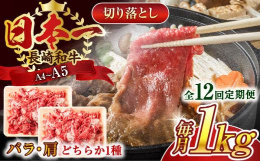 【全12回定期便】【A4～A5】長崎和牛切り落とし　1kg(500g×2p）【株式会社 MEAT PLUS】 [QBS050] 1413897 - 長崎県佐々町