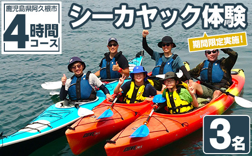 期間限定実施 シーカヤック体験チケット(4時間/3名) 阿久根 シーカヤック アウトドア アクティビティ 自然 体験 ツアー チケット マリンスポーツ【パズル】akn098-11