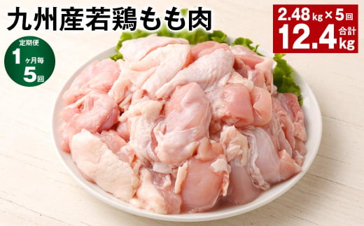 【1ヶ月毎5回定期便】 九州産若鶏もも肉 計約12.4kg（約2.48kg✕5回） 鶏肉 もも肉 お肉 1398364 - 熊本県菊池市