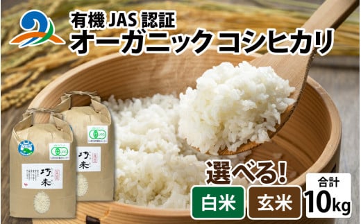 【先行予約】令和6年度産 有機JAS認証 オーガニック コシヒカリ 玄米 5kg×2袋（計10kg）【2024年10月中旬から順次発送】 1423677 - 福井県南越前町