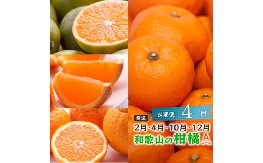 【 2・4・10・12月 全4回 】 柑橘定期便A【IKE5】 1398842 - 和歌山県和歌山市