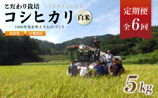 【定期便6回】有機栽培コシヒカリ白米 5kg 京都府産 低農薬 毎月お届け 6ヶ月 【 米 5キロ 精米 白米 こめ コメ お米 おこめ こしひかり 井上吉夫 米農家 有機栽培米 有機栽培 農家直送 減農薬 綾部市 京都府 】 1398142 - 京都府綾部市