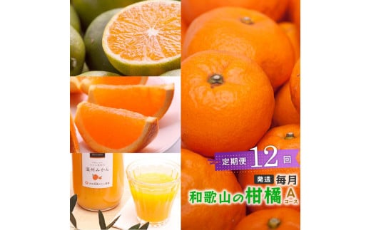 【 毎月発送 全12回 】 柑橘定期便A【IKE9】 1398844 - 和歌山県和歌山市