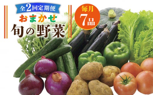 【全2回定期便】旬の野菜セット 7品《壱岐市》【壱岐市農業協同組合】季節 健康 栄養 やさい 詰め合わせ [JBO131] 1398510 - 長崎県壱岐市