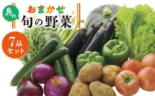 旬の野菜 7品セット 《壱岐市》【壱岐市農業協同組合】[JBO001] 野菜 ベジタブル 食材 詰め合わせ 産地直送 野菜セット グルメ 春 夏 秋 冬 旬 サラダ 冷蔵 夏野菜 スムージー 9000 9000円 212290 - 長崎県壱岐市