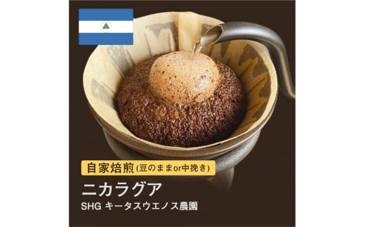 自家焙煎コーヒー!#038 310g ニカラグア SHG キータスウエノス農園 珈琲(豆または中挽きから選択)