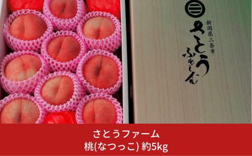桃（なつっこ） 5kg 令和6年度 新潟県産 桃 [さとうファーム] 【020S029】