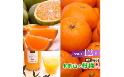 【 毎月発送 全12回 】 柑橘定期便B【IKE10】 1398848 - 和歌山県和歌山市