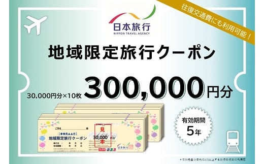 佐賀県佐賀市 日本旅行 地域限定旅行クーポン300,000円分:D100-004