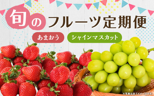 【年2回定期便】 数量限定 旬のフルーツ 定期便 【 シャインマスカット ・ あまおう 】 合計約2.48kg 福岡県産 果物 