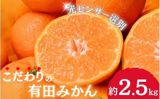 [2024年11月発送予約分]＼光センサー選別/農家直送 こだわりの有田みかん 約2.5kg+75g(傷み補償分)[ご家庭用][11月発送]みかん ミカン 有田みかん 温州みかん 柑橘 有田 和歌山 ※北海道・沖縄・離島配送不可/みかん ミカン 有田みかん 温州みかん 柑橘 有田 和歌山 産地直送[nuk159-1A]