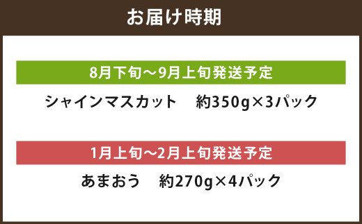 【年2回定期便】 数量限定 旬のフルーツ 定期便 【 シャインマスカット ・ あまおう 】 合計約2.48kg 福岡県産 果物 