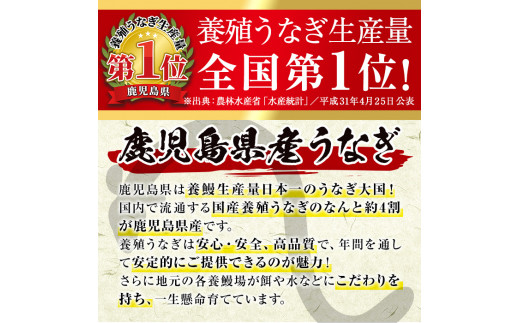 鹿児島県湧水町のふるさと納税 A01 国産！うなぎ蒲焼き(3尾・タレ付き) 国産 九州産 鰻 ウナギ うな重 うなじゅう 蒲焼 かばやき 土用 丑の日 うな丼 タレ タレ付 おかず 冷蔵 特産品 お土産 ギフト プレゼント【尾方屋】