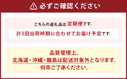 【年3回定期便】数量限定！ 旬のフルーツ定期便【梨・シャインマスカット・あまおう】