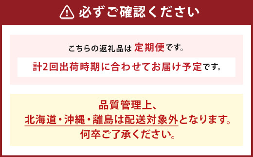 【年2回定期便】 数量限定 旬のフルーツ 定期便 【 シャインマスカット ・ あまおう 】 合計約2.48kg 福岡県産 果物 