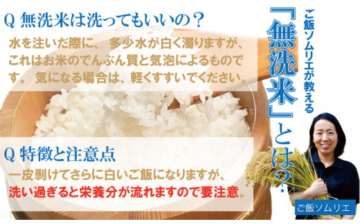 佐賀県小城市のふるさと納税 ご飯ソムリエ厳選！「無洗米」夢しずく5kg（肥前糧食）