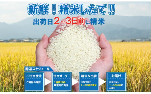 佐賀県小城市のふるさと納税 ご飯ソムリエ厳選！「無洗米」夢しずく5kg（肥前糧食）