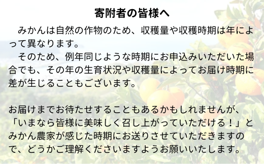 和歌山県有田市のふるさと納税 有田市認定みかん「未来への虹」至宝(5kg)【日本初自治体認定フルーツ】(A1-2)