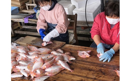 高知県土佐清水市のふるさと納税 無添加 季節の干物３種類おためしセット（ギフト・お歳暮・お中元対応）冷凍惣菜 おつまみ 塩のみ使用 お試し セット 詰め合わせ 干物 国産 ひもの 季節 旬 冷凍配送【R00795】