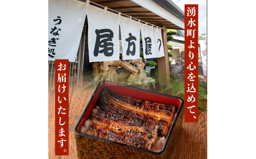 鹿児島県湧水町のふるさと納税 A01 国産！うなぎ蒲焼き(3尾・タレ付き) 国産 九州産 鰻 ウナギ うな重 うなじゅう 蒲焼 かばやき 土用 丑の日 うな丼 タレ タレ付 おかず 冷蔵 特産品 お土産 ギフト プレゼント【尾方屋】