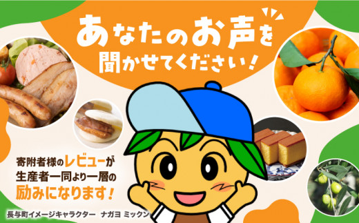  皿うどん 長崎 冷凍 具付き 具入り 長崎皿うどん 定期便 ていきびん