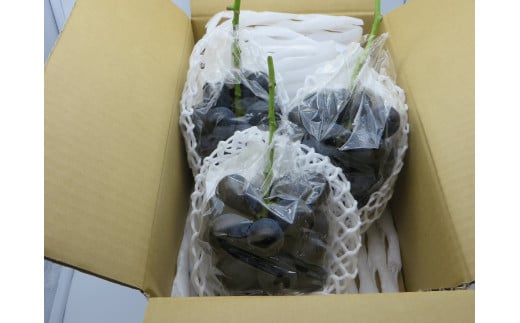 大切に梱包してお届けします。
