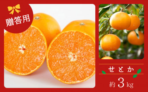 コウ果樹園の「柑橘の大トロ　せとか3kg」＜C33-1＞【1269378】